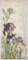 HENRI PRIVAT-LIVEMONT Quatre Planches Fleurs Décoratives: Chrysanthèmes, Iris, Pivoines et Tulipes.